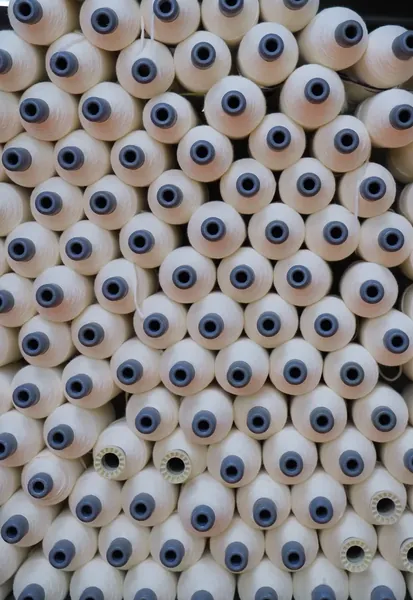 100% Combed Cotton Raw Cones in Bulk