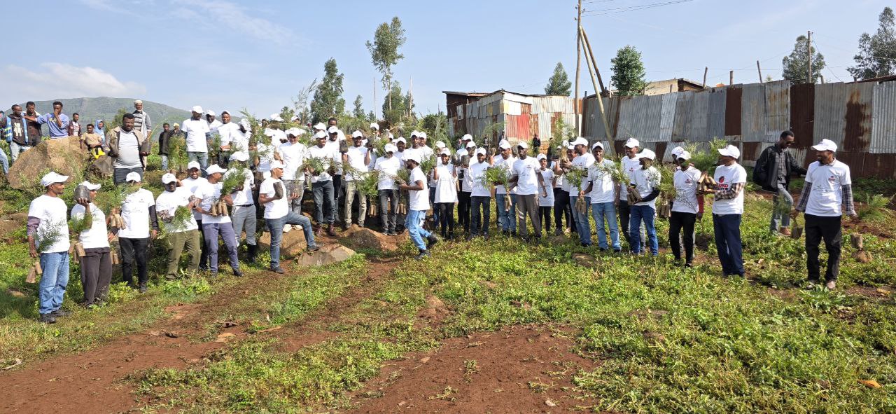 Buluko Textile Champions Ethiopia's Green Legacy Initiative